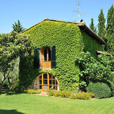 Manutenzione aree verdi Turbo Clean Expert SRL Firenze